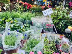 -曲阳花鸟市场(曲阳路店)