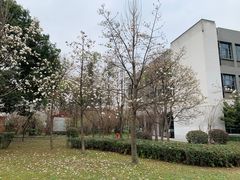 -四川大学(望江校区)