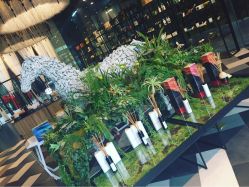 -THANN EXPRESS SPA