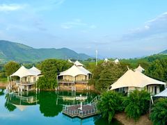 -帐篷客·溪龙茶谷度假酒店