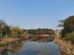 -张家港凤凰山景区河阳山歌馆