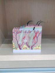 -雍禾植发全国连锁