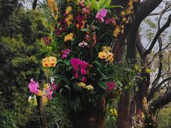 -人民公园(罗湖区)