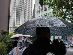 -六广门毛阿姨糯米饭