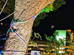 -蘇河湾·新鲁菜·泰山宴(泰山店)