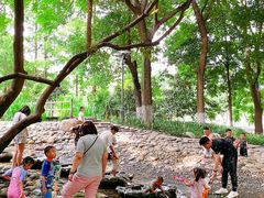 -成都市活水公园