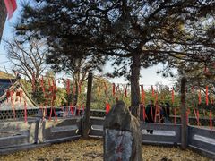 -泰山风景名胜区-普照寺