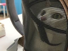 -艾贝尔宠物医院 ·内科全科(梁溪路店)
