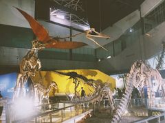 -湖南省地质博物馆