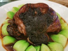 -龙悦湾酒家·八阵鱼生·渔人码头店