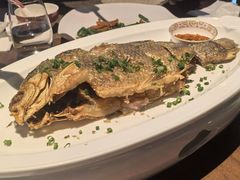 -曾宴·楚菜(湖北省博物馆店)