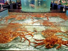 -尚海豆捞(乐虹坊店)