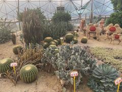 -盈香心动乐园