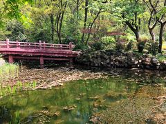 -紫霞湖公园