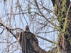 -长春市南湖公园