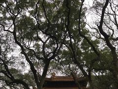 -普陀山风景名胜区-法雨禅寺