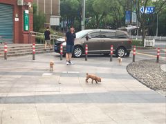 -龙虾风暴(松江店)