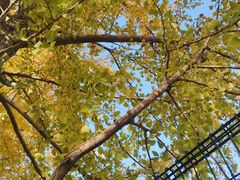 -辽宁大学(崇山校区)