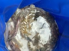 -日照世帆赛基地