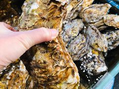 -海鲨湾海鲜会馆(百家湖1912店)