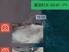 -宠物家(大兴旧宫店)