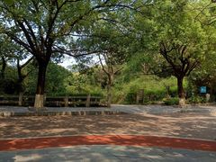 -水濂山森林公园