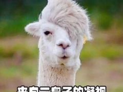 -中国海洋大学（崂山校区）-图书馆