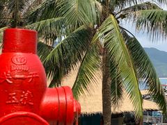 -海南分界洲岛旅游区