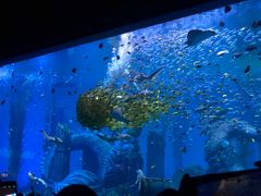 -波塞冬旅游度假区