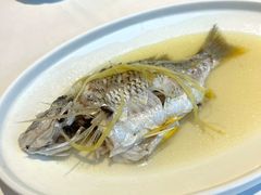 姜丝蒸黄脚立鱼-花城苑广府菜(侨鑫店)