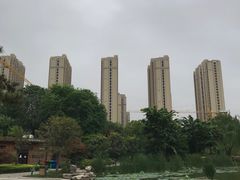 -木塔寺遗址生态公园