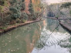-同里国家湿地公园