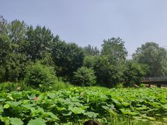 -奥林匹克森林公园北园-停车场