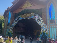 -西双版纳原始森林公园