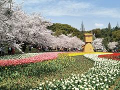 -苏州上方山国家森林公园