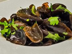 -蝶园·装修中(BFC外滩金融中心店)