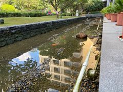 -南宁荔园维景国际酒店·荔园中餐厅