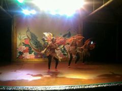 -金孔雀温泉旅游度假村