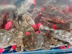 -宾朋海鲜特色美食餐厅·纯手工鲅鱼水饺(兴海路店)