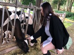 -瑞穗牧场