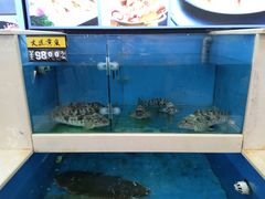 -鲜鲜·鲅鱼圈海鲜(于洪店)