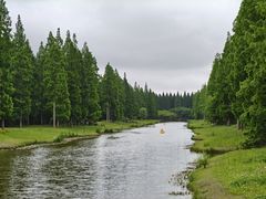 -黄海国家森林公园