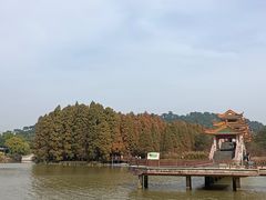 -星湖旅游景区七星岩