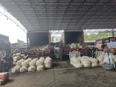 -江杨农产品批发市场
