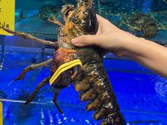 -湛江宇丰海鲜店(洛溪店)