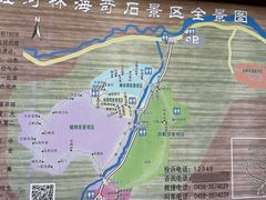 -汤旺河林海奇石景区