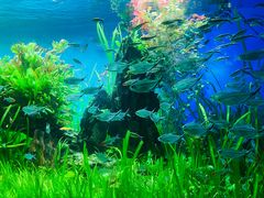 -太平洋海底世界