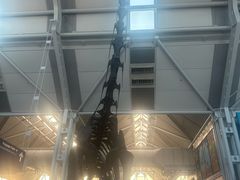 -奥黑尔国际机场