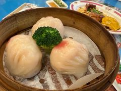 -憶廟街 X 沙角邨(太古城店)