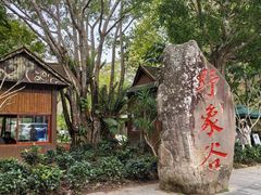 -野象谷景区